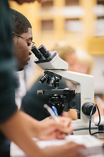 A student looks into a microscope